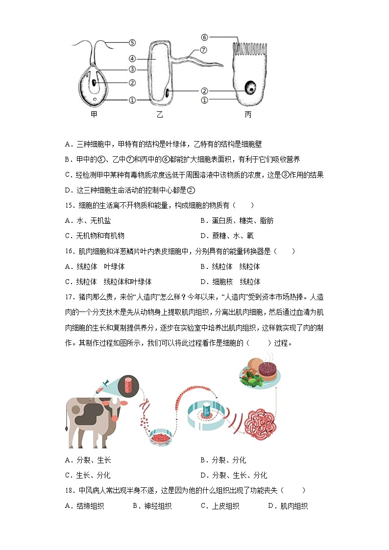 河南省南阳市西峡县2021-2022学年七年级上学期期中生物试题（word版 含答案）第3页