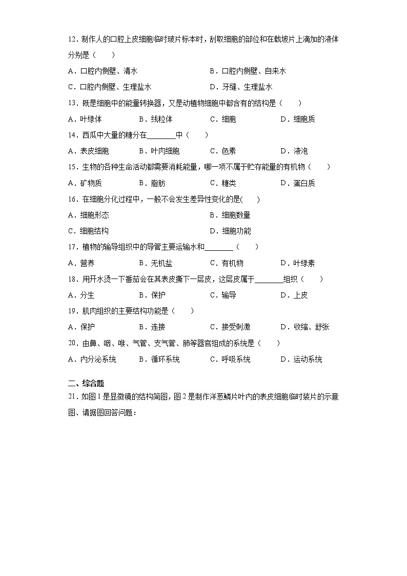 河南省商丘市柘城县2021-2022学年七年级上学期期中生物试题（word版 含答案）02