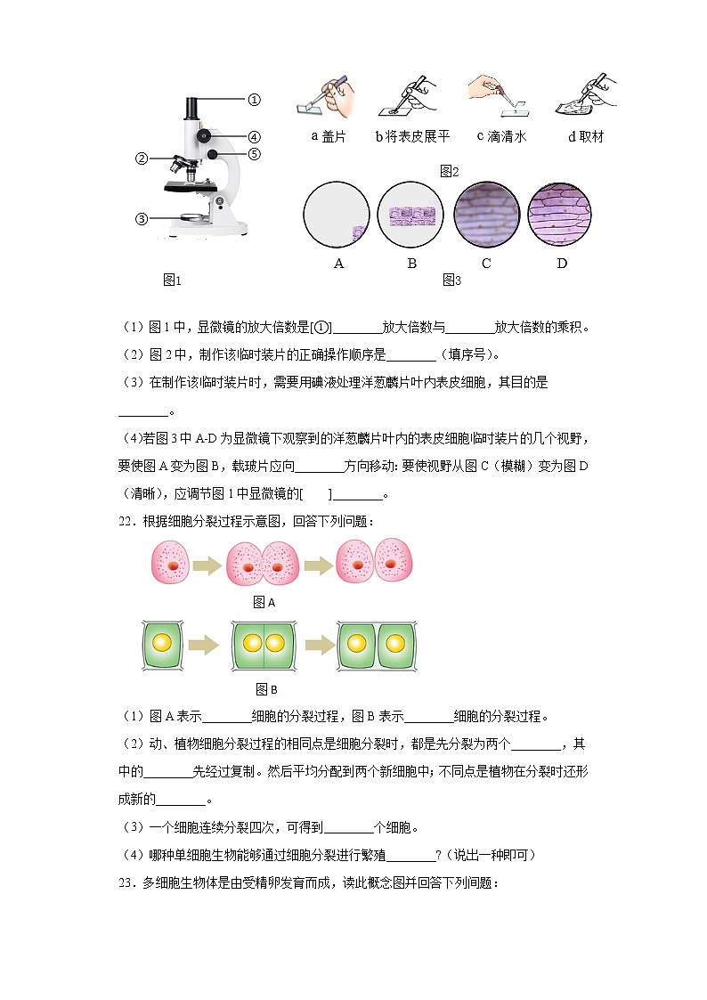 河南省商丘市柘城县2021-2022学年七年级上学期期中生物试题（word版 含答案）03
