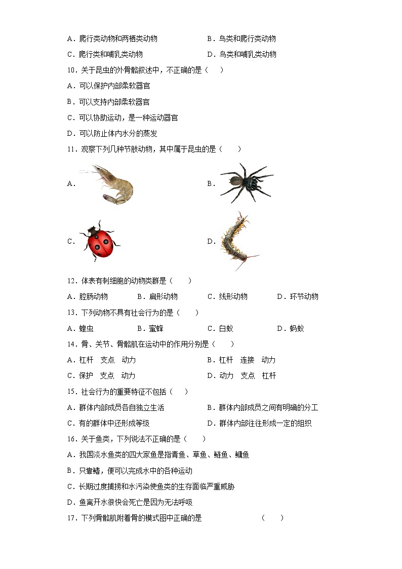 天津市河东区2021-2022学年八年级上学期期中生物试题（word版 含答案）第2页