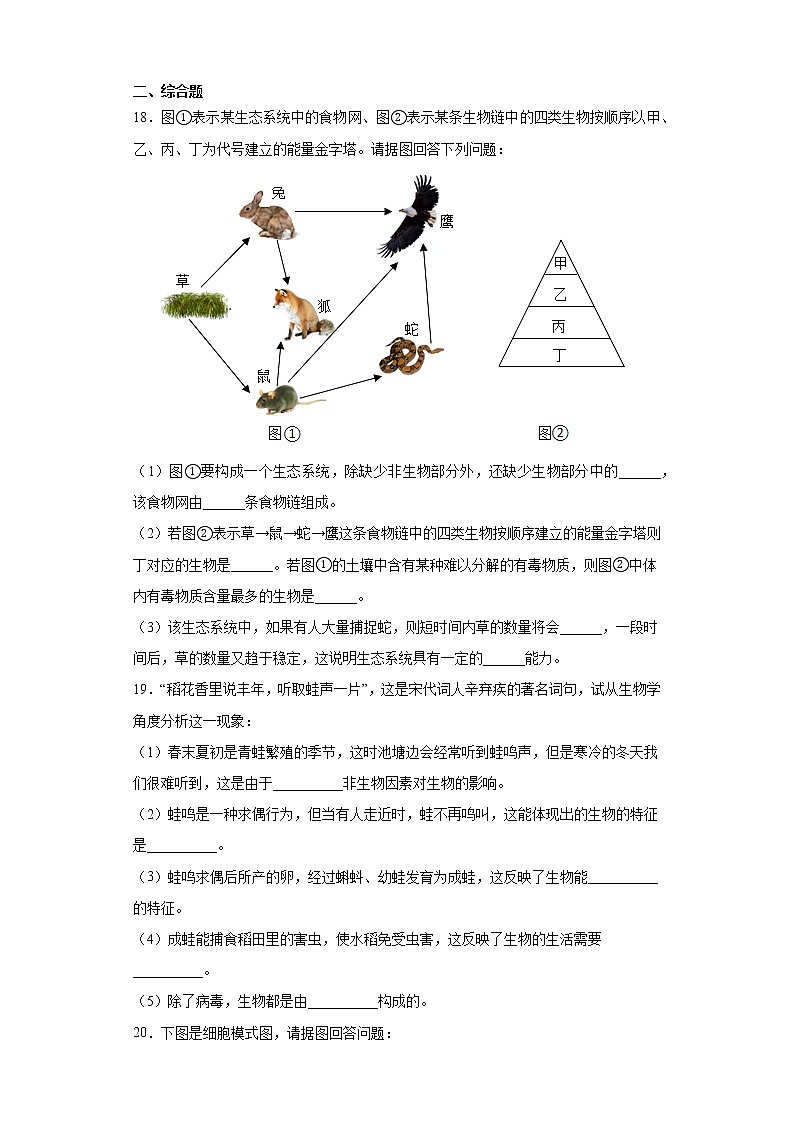 河南省驻马店市汝南县2021-2022学年七年级上学期期中生物试题（word版 含答案）03