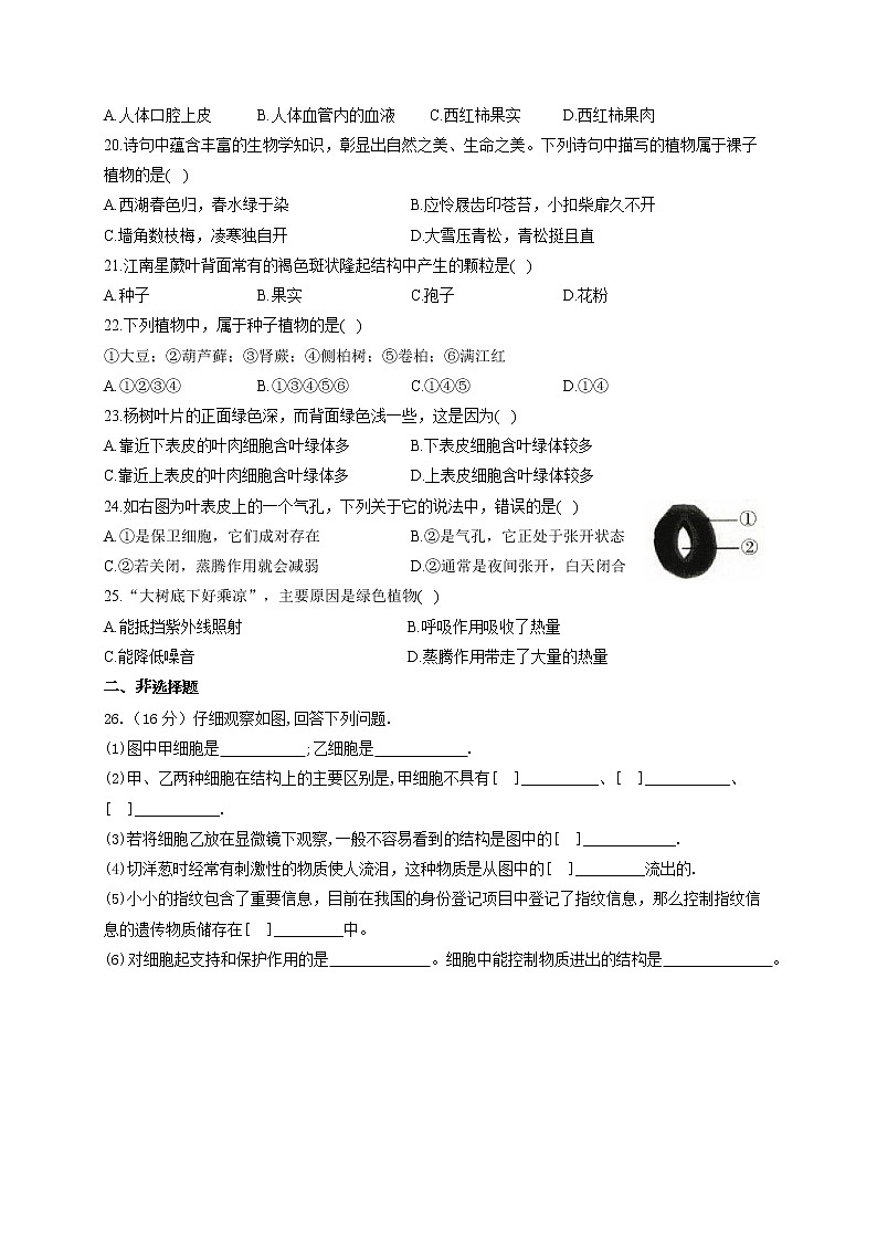 四川省内江市2021-2022学年七年级上学期期中考试生物试题（word版 含答案）第3页