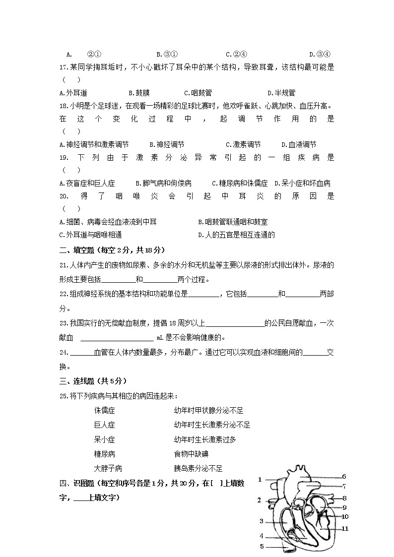 宁夏 银川市2021-2022学年上学期八年级期中考试生物试卷（word版 含答案）第3页