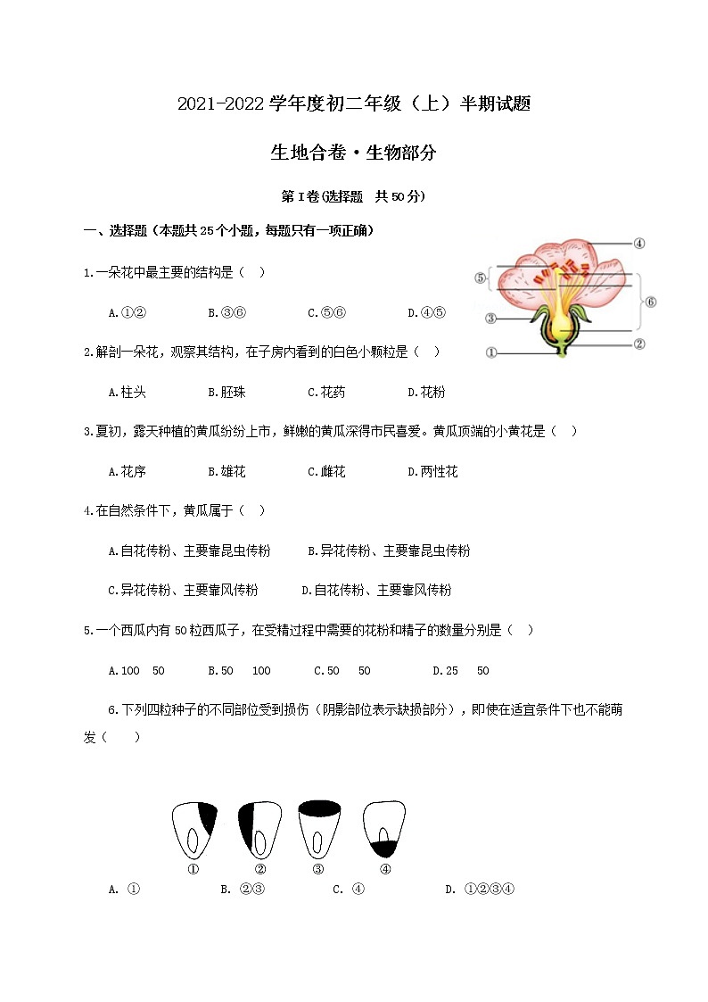 四川省内江市2021-2022学年八年级上学期期中考试生物试题（word版 含答案）第1页