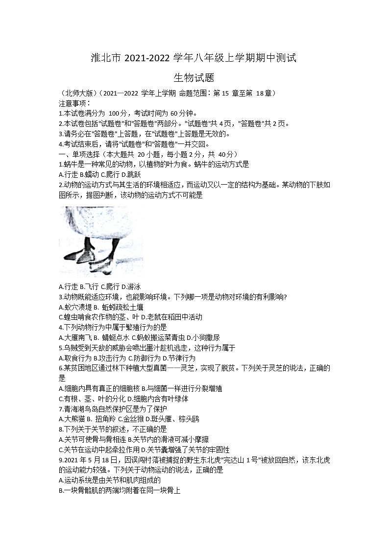 安徽省淮北市2021-2022学年八年级上学期期中测试生物试题（word版 含答案）01