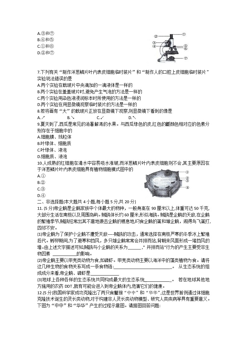 安徽省六安市霍邱县2021-2022学年七年级上学期期中考试生物试题（word版 含答案）第2页