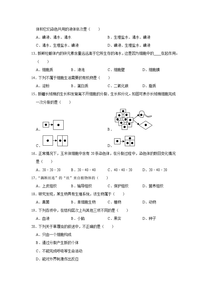 湖南省岳阳市临湘市2021-2022学年上学期 期中七年级生物试卷（word版 含答案）03