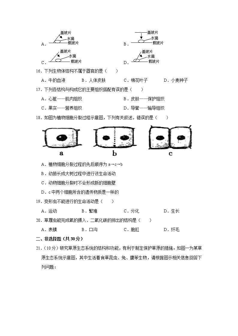 河北省唐山市玉田县2021-2022学年上学期期中七年级生物试卷（word版 含答案）第3页