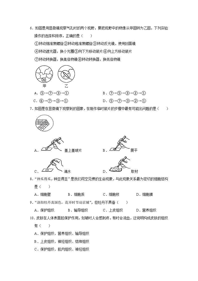 山东省枣庄市山亭区2021-2022学年上学期七年级期中生物试卷（word版 含答案）02