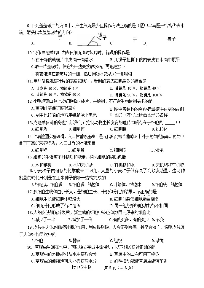 河南省焦作市中站区2021-2022学年上学期七年级期中调研测试生物试卷（word版 含答案）第2页