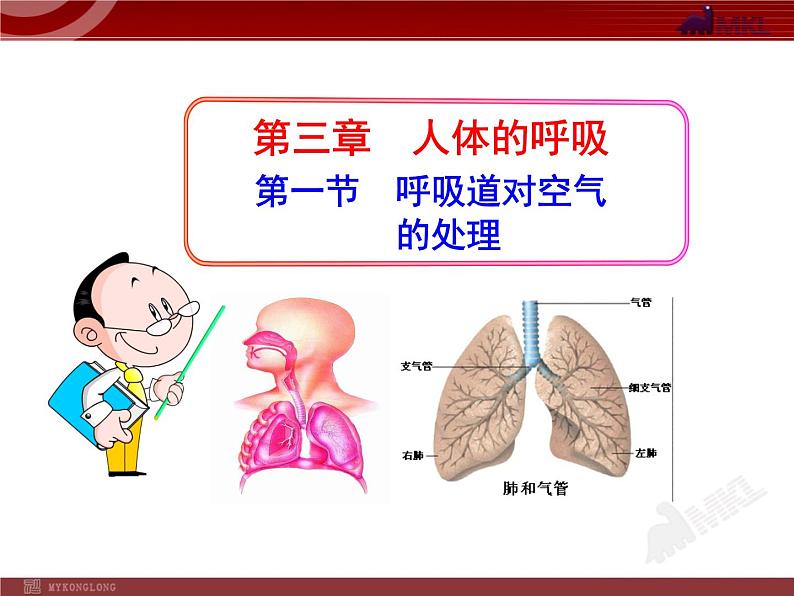 人教版生物七年级下第3章 第1节  呼吸道对空气的处理 课件第1页