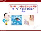 人教版生物七年级下第6章 第1节  人体对外界环境的感知 课件