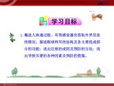 人教版生物七年级下第6章 第1节  人体对外界环境的感知 课件