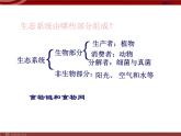 人教版生物七年级上1.2.3生物圈是最大的生态系统 课件
