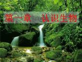 人教版生物七年级上1.1.1生物的特征 课件