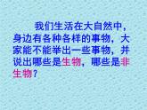 人教版生物七年级上1.1.1生物的特征 课件