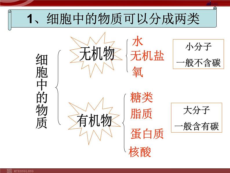 人教版生物七年级上2.1.4细胞的生活 课件第8页