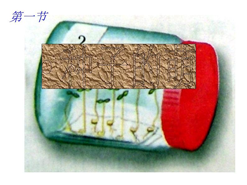 人教版生物七年级上3.2.1种子的萌发 课件02