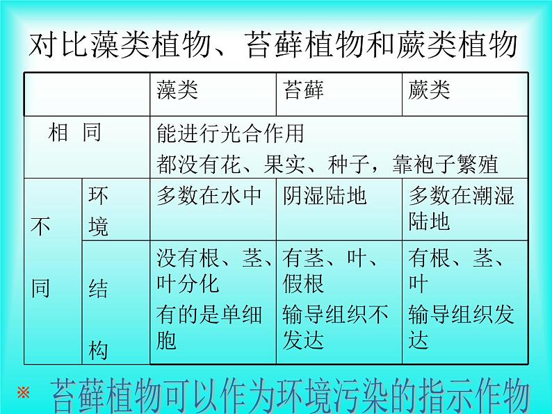 人教版生物七年级上3.1.2种子植物 课件第2页