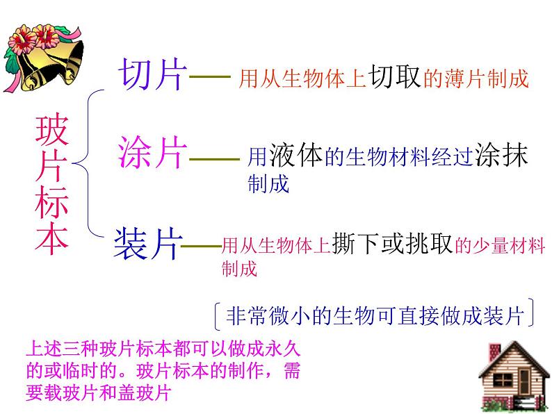 人教版生物七年级上2.1.2植物细胞 课件第3页