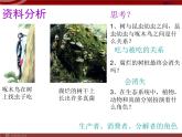 人教版生物七年级上1.2.2生物与环境组成生态系统 课件