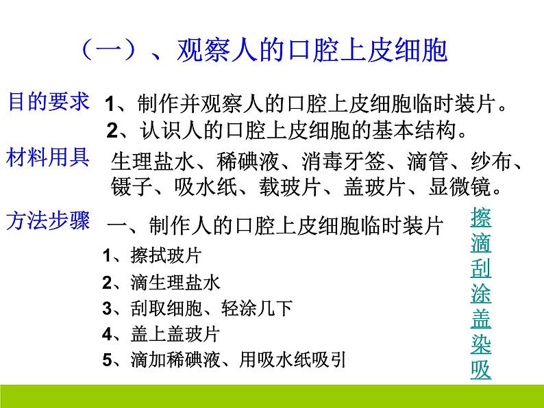 人教版生物七年级上2.1.3动物细胞 课件第6页