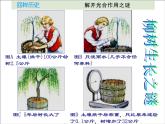 人教版生物七年级上3.5.1光合作用吸收二氧化碳释放氧气 课件