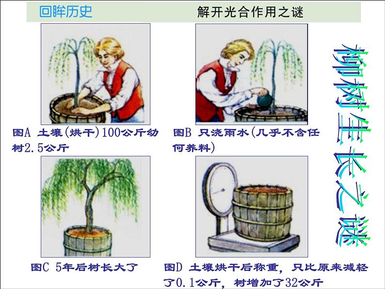 人教版生物七年级上3.5.1光合作用吸收二氧化碳释放氧气 课件第3页