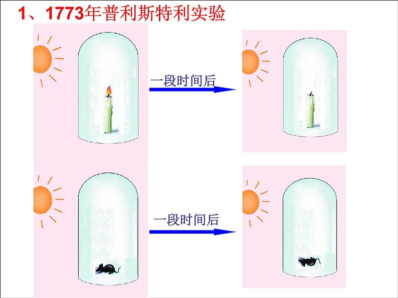 人教版生物七年级上3.5.1光合作用吸收二氧化碳释放氧气 课件第5页