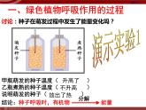 人教版生物七年级上3.4.2绿色植物的呼吸作用 课件