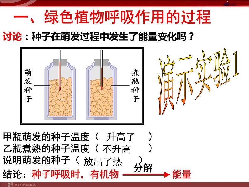 人教版生物七年级上3.4.2绿色植物的呼吸作用 课件02