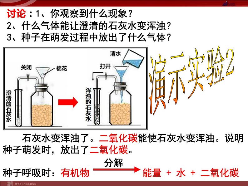 人教版生物七年级上3.4.2绿色植物的呼吸作用 课件03