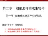 人教版生物七年级上2.2.1细胞通过分裂产生新细胞 课件