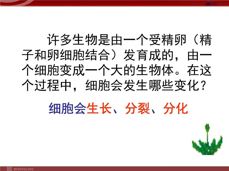 人教版生物七年级上2.2.1细胞通过分裂产生新细胞 课件第5页