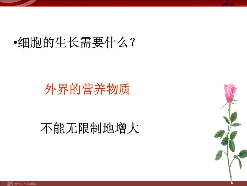 人教版生物七年级上2.2.1细胞通过分裂产生新细胞 课件第6页