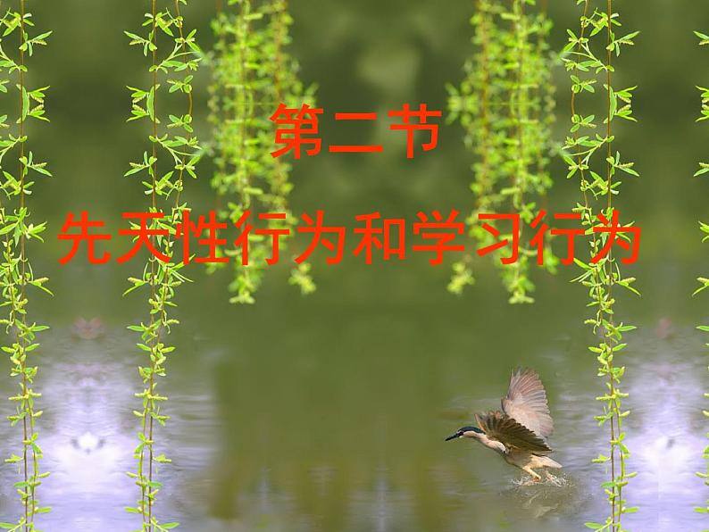 先天性行为和学习行为 课件PPT第1页