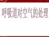 2020-2021学年第一节 呼吸道对空气的处理背景图ppt课件