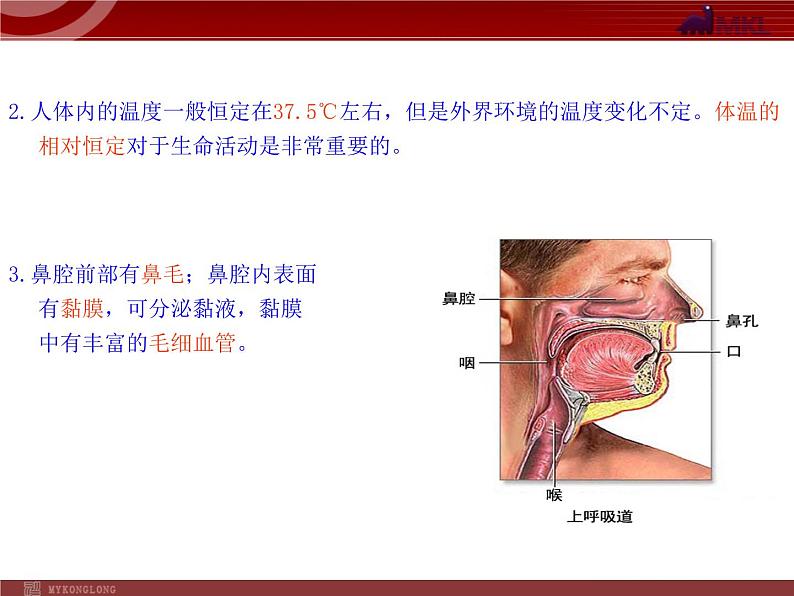 人教版七年级生物下册 3.1呼吸道对空气的处理 课件第4页