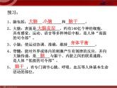 人教版七年级生物下册 6.2神经系统的组成 课件