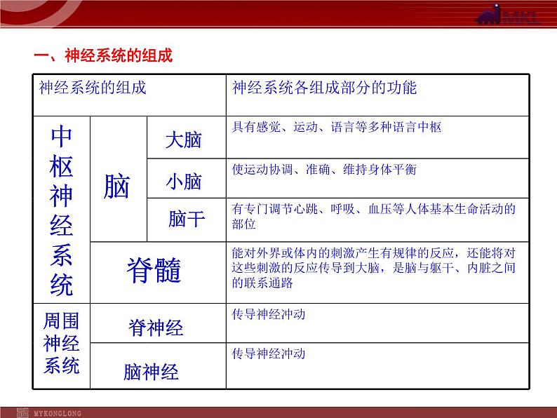 人教版七年级生物下册 6.2神经系统的组成 课件第8页