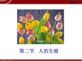 人教版七年级生物下册 1.2人的生殖 课件