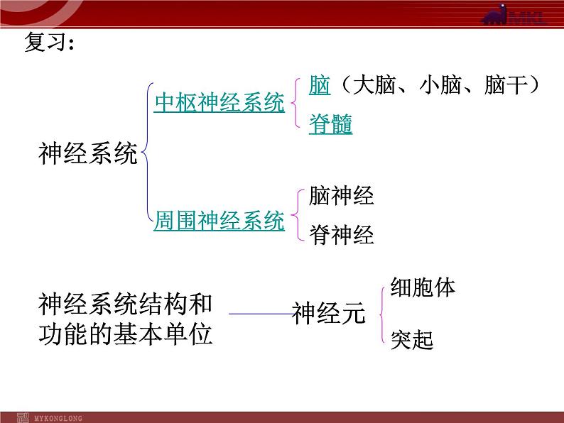 人教版七年级生物下册 6.3神经调节的基本方式 课件第2页