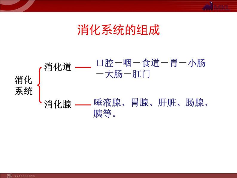 人教版七年级生物下册 2.2消化和吸收2 课件第4页