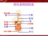 人教版七年级生物下册 2.2消化和吸收2 课件