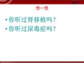 人教版七年级生物下册 5人体内废物的排出 课件
