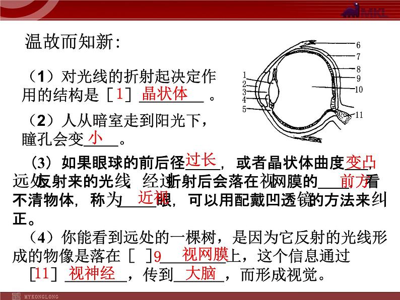 人教版七年级生物下册 6.1人体对外界环境的感知 课件第1页