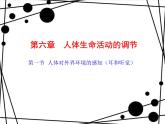人教版七年级生物下册 6.1人体对外界环境的感知 课件