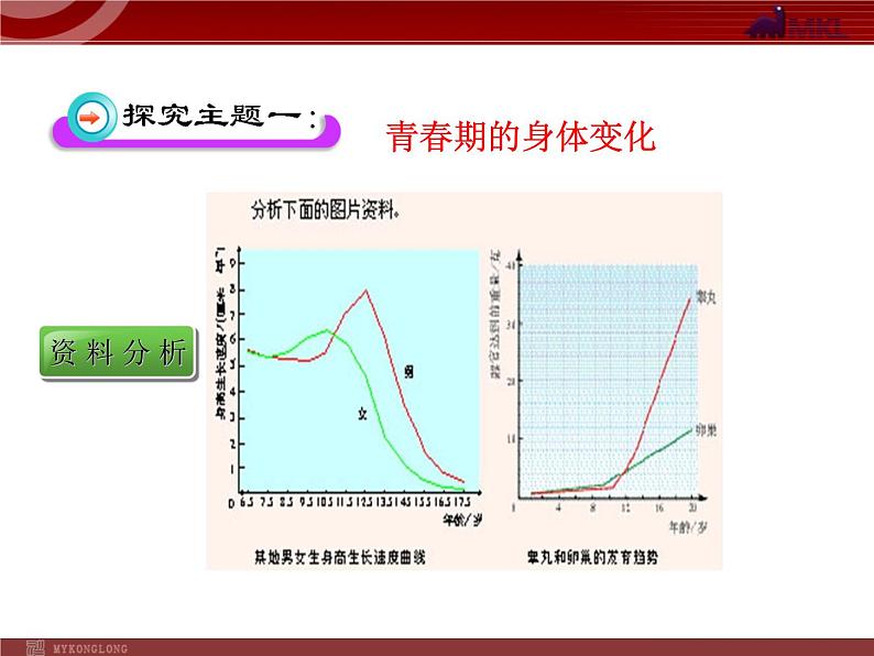 人教版七年级生物下册 1.3青春期 课件第4页