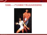 人教版七年级生物下册 6.4激素调节 课件