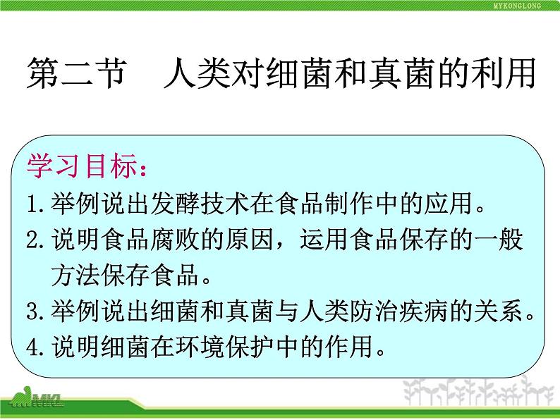 人类对细菌和真菌的利用PPT课件免费下载02